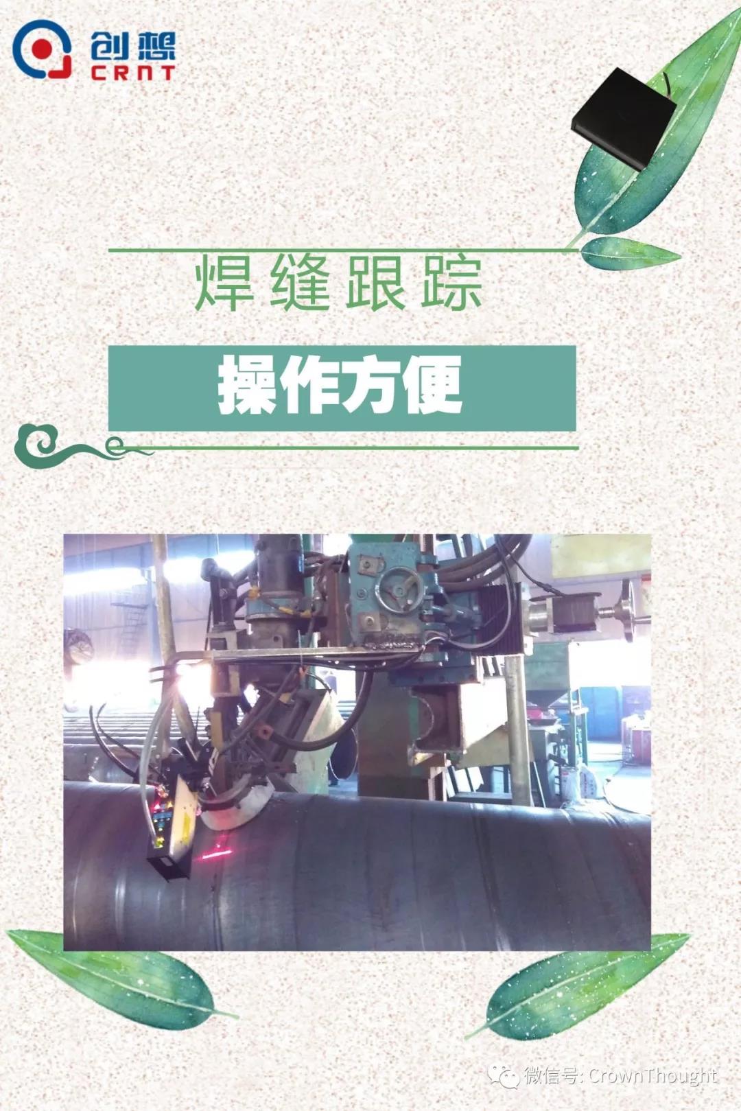 粽葉帶來的不僅僅是粽子，還有...