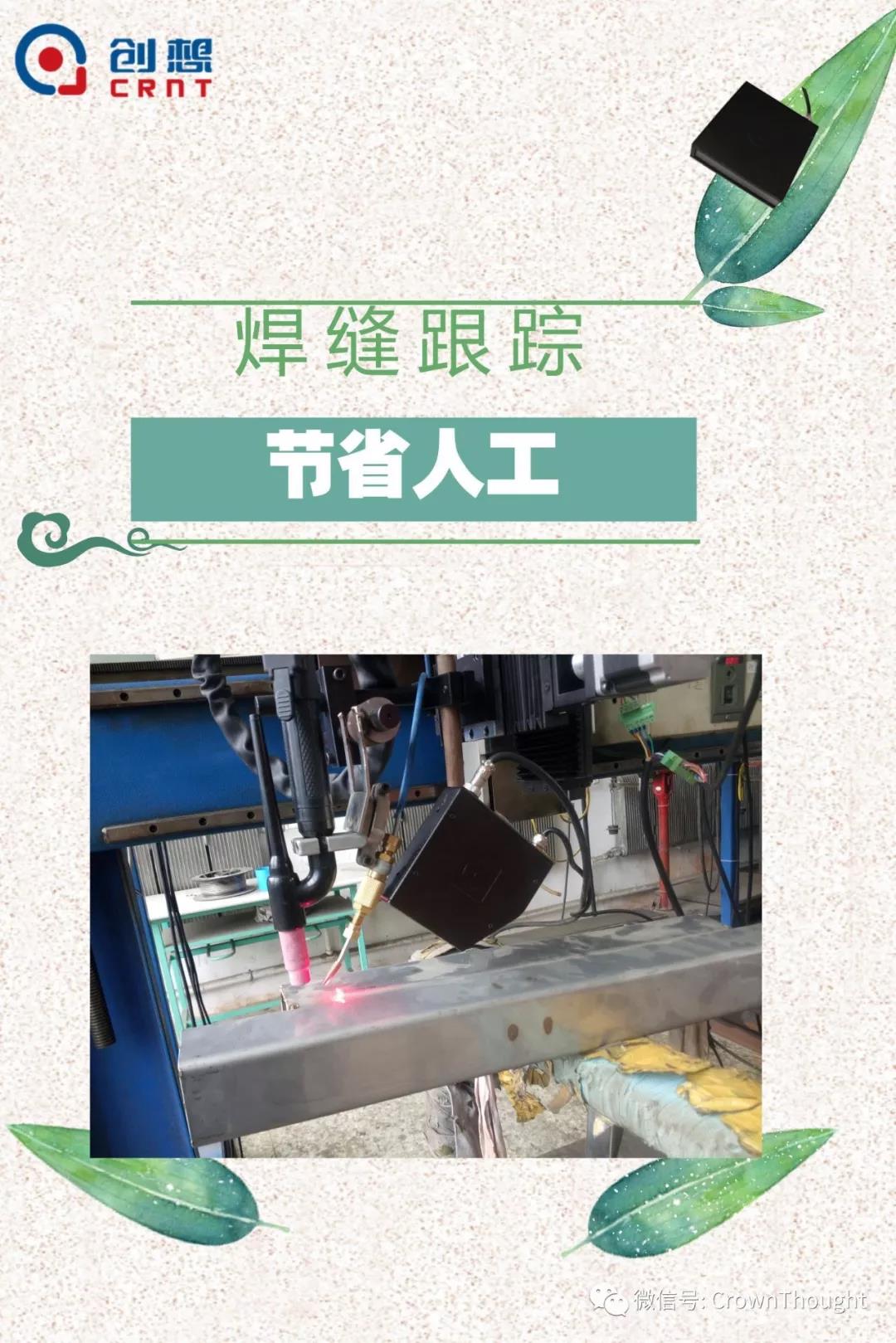 粽葉帶來的不僅僅是粽子，還有...